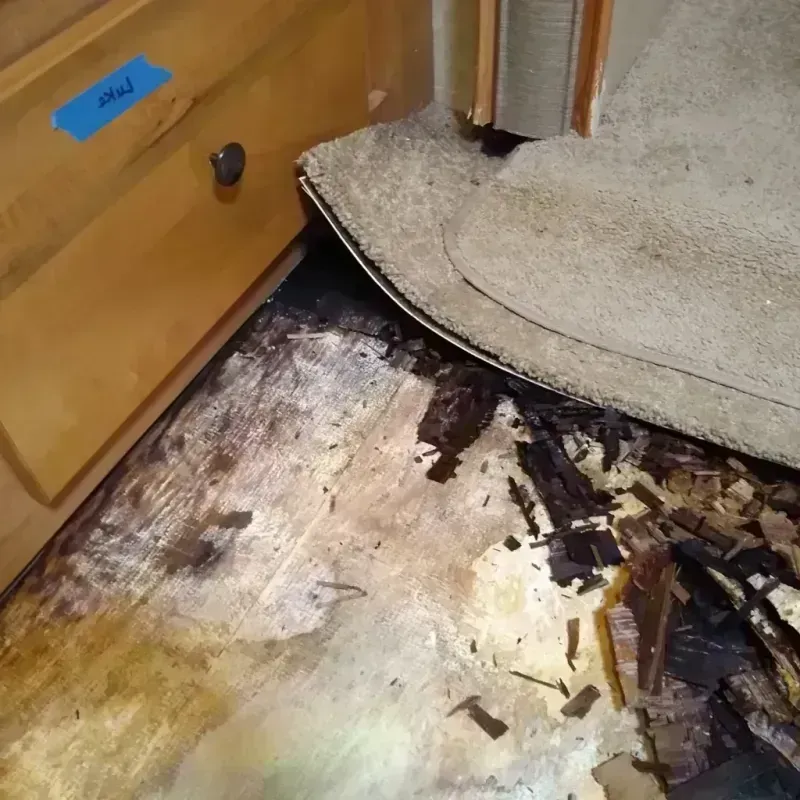 Wood Floor Water Damage in Philadelphia County, PA